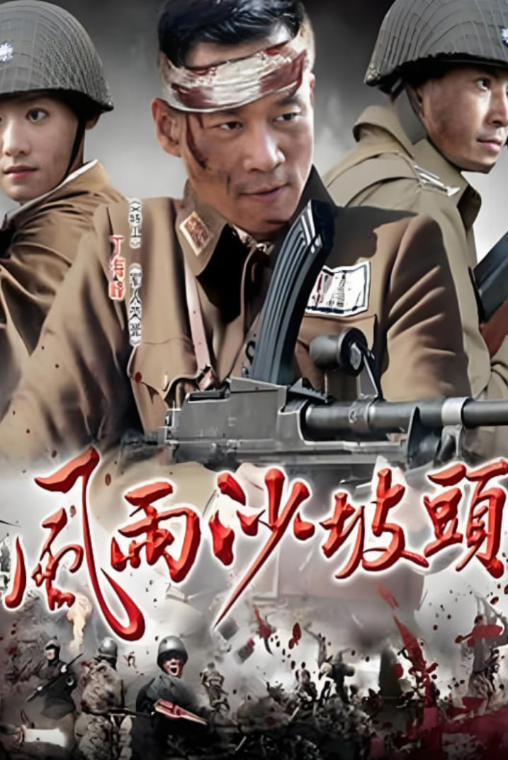 风雨沙坡头(全集)