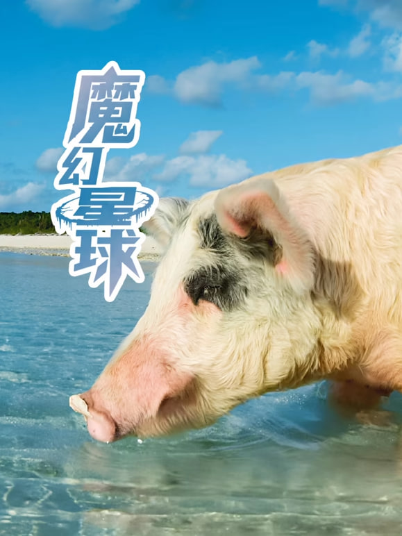 魔幻星球(全集)