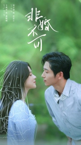 非婚不可短剧(全集)