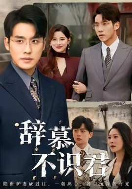 辞慕不识君 七年情深终成侮(全集)