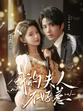 我的夫人不好惹 你好，我的旅长夫人(全集)