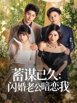 蓄谋已久：闪婚老公暗恋我(全集)
