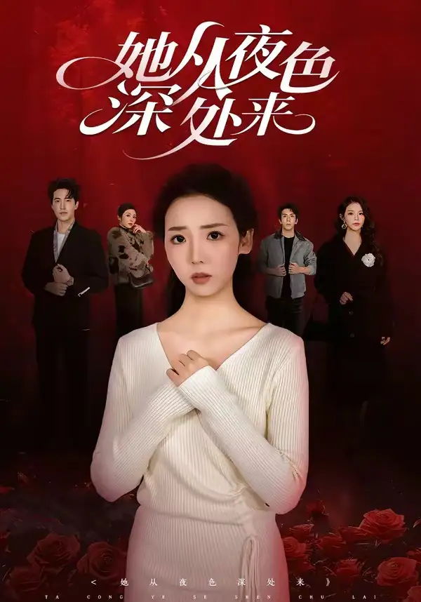 她从夜色深处来(全集)