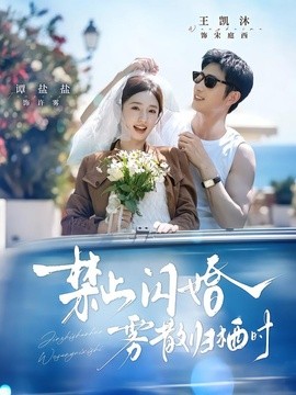 禁止闪婚，雾散归栖时(全集)
