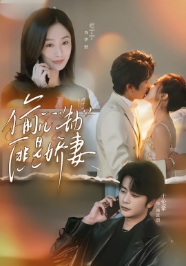 偷心劫匪是娇妻(全集)